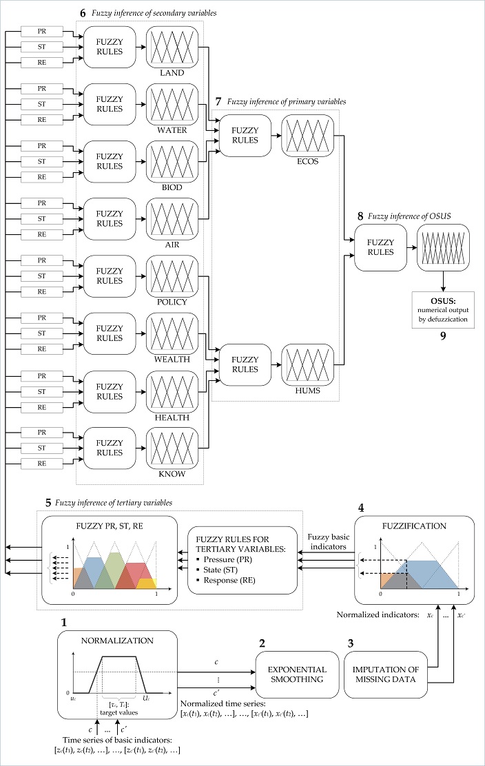 Hierarchical structure of the SAFE model